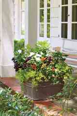 117 Of Our Best Container Gardening Ideas