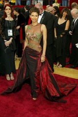 Elie Saab net dress of Halle Berry (Halle Berry)