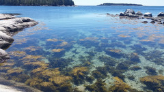 Nova Scotia | Halifax, Nova Scotia - Local Shore Dives | Book ...