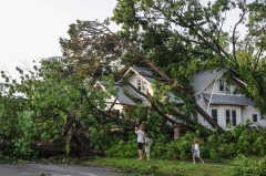 Tornadoes and Storms Leave 23 Dead as East Coast Faces Severe ...