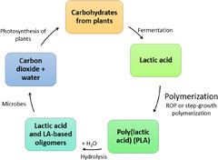 A review on poly lactic acid (PLA) as a biodegradable polymer ...