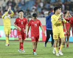 Vietnam Football Federation (Vietnam national football team)