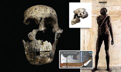 Homo naledi fossils found in South African cave | Daily Mail Online