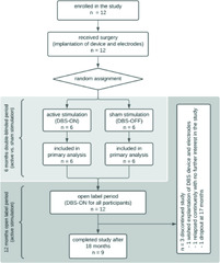 Deep brain stimulation of the nucleus accumbens in treatment ...