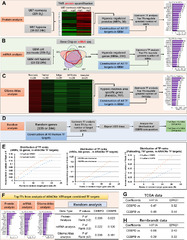 CEBPD is a master transcriptional factor for hypoxia regulated ...