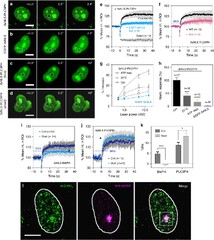 DNA damage causes rapid accumulation of phosphoinositides for ATR ...