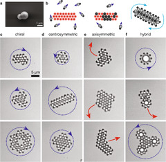 Metamachines of pluripotent colloids | Nature Communications