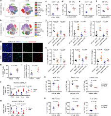 Glucocorticoid receptor regulates PD-L1 and MHC-I in pancreatic ...