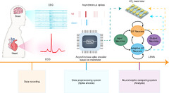 A neuromorphic physiological signal processing system based on VO2 ...