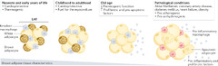 Epicardial adipose tissue