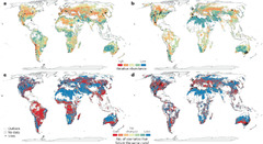 Climate change impacts on plant pathogens, food security and paths ...