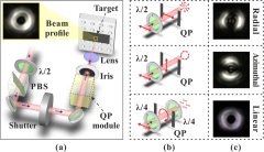 Direct Femtosecond Laser Surface Structuring with Optical Vortex ...