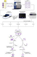 Optimization of cerebrospinal fluid microbial DNA metagenomic ...