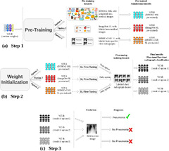 Enhancing diagnostic deep learning via self-supervised pretraining ...