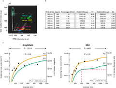 An imaging flow cytometry-based methodology for the analysis of ...