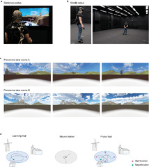 Multisensory input modulates memory-guided spatial navigation in ...