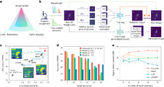 Self-supervised deep learning for tracking degradation of ...