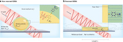 Surface-enhanced infrared absorption spectroscopy | Nature Reviews ...