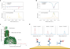 Surface-enhanced infrared absorption spectroscopy | Nature Reviews ...