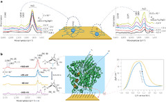 Surface-enhanced infrared absorption spectroscopy | Nature Reviews ...