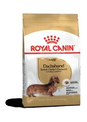 Royal Canin Breed Dachshund Adult Dry Dog Food (Royal Canin Adult Dachshund)