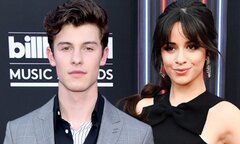 Shawn Mendes (Camila Cabello)