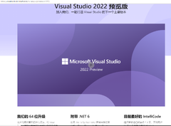 Microsoft Visual Studio 2022 Enterprise (Microsoft Visual Studio 2022 Professional)