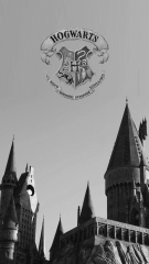 Hogwarts School of Witchcraft and Wizardry ( Harry Potter Hogwarts)