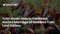 Tulsi Vivah: How to Celebrate Sacred Marriage of Goddess Tulsi ...