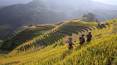 North & Central Vietnam: Hanoi, Hoi An & Countryside Adventures in ...