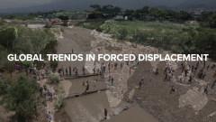 Global forced displacement tops 70 million | UNHCR