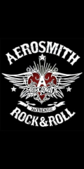 Aerosmith (Aerosmith Retro Rock Metal Tin Sign)