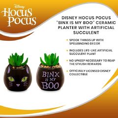 Disney Hocus Pocus Binx Is My Boo Ceramic Planter withificial Succulent (Silver Buffalo Harry Potter Hedwig 3-Inch Ceramic Mini Planter withificial Succulent)