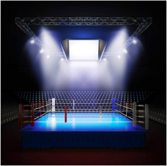 LFEEY Empty Professional Boxing Ring Photography Lighting Void Squared Circle Prize Ring Arena Backdrop Sports Theme (Boxing Ring Arena Backdrop)