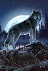 Toland Garden Moon Wolf Wolf Flag Double Sided (Full Moon Wolf Flag)