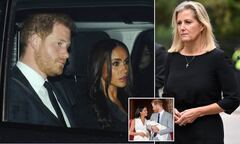 Harry and Meghan will have an ally in Sophie Wessex, their first ...