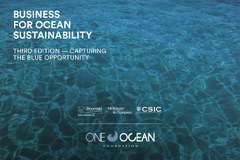 The Ocean Foundation (Business for Ocean Sustainability - Third Edition - Capturing the Blue Opportunity)