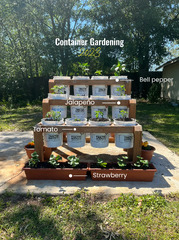 Container Gardening