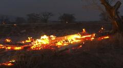 Maui fire before-and-after satellite photos show devastation