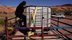 Cattle Loading Chute