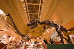 Smithsonian National Museum of Natural History