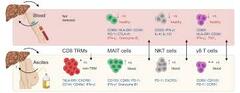 Tissue-resident and innate-like T cells in patients with advanced ...