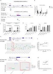 Long Non-Coding RNAs Associated with Metabolic Traits in Human ...