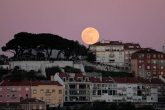 Städteurlaub in Portugal: Kurz nach ... Lissabon - SZ.de