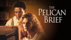 The Pelican Brief (Denzel Washington)