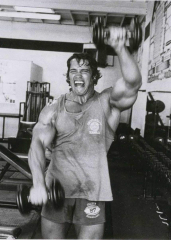Arnold Schwarzenegger (bribase shop Arnold Schwarzenegger )