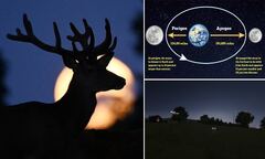 Look up tonight! Buck SUPERMOON will light up skies around ...