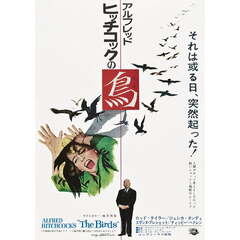 The Birds (The Birds Tippi Hedren Alfred Hitchcock Japanese 1963 Large Stretched )