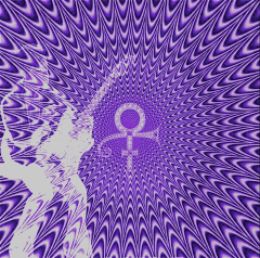 Prince and the New Sexual Generation – www.drshannonchavez