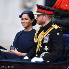 Meghan Makes a Surprise Appearance at Trooping the Colour ...